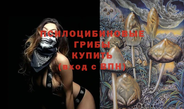 стафф Кукмор